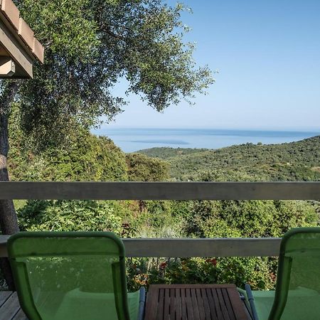 Les Terrasses De Scaglioli Villa Villanova Dış mekan fotoğraf