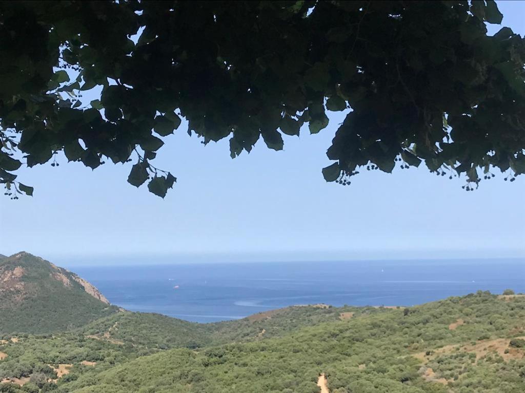 Les Terrasses De Scaglioli Villa Villanova Dış mekan fotoğraf