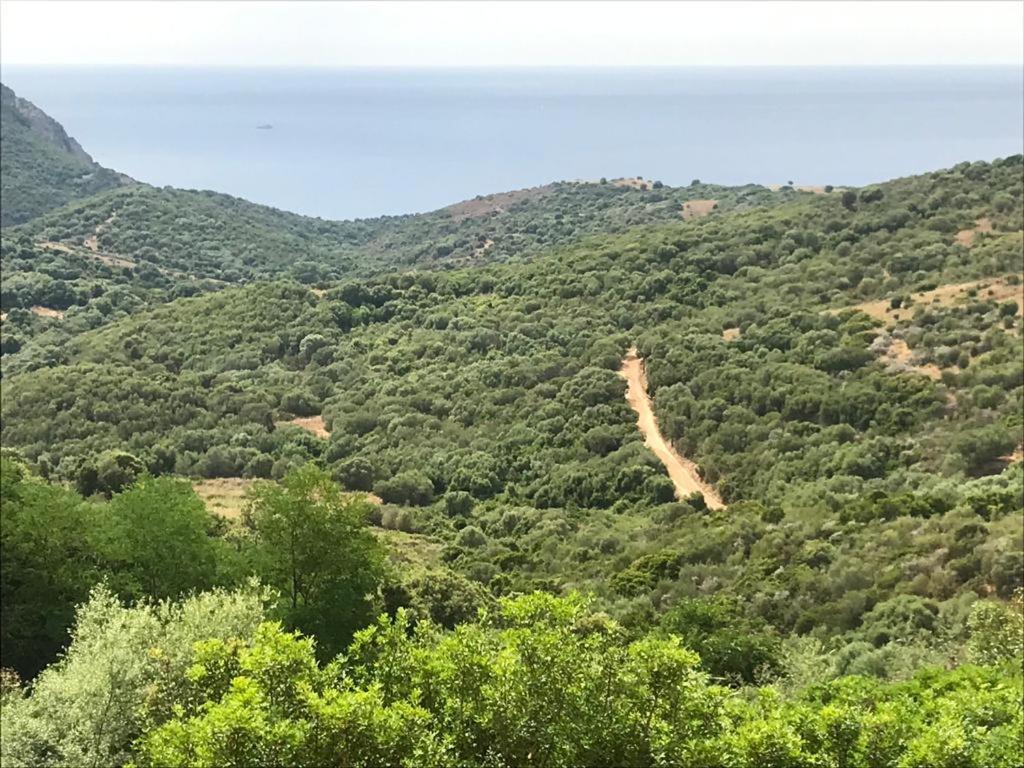 Les Terrasses De Scaglioli Villa Villanova Dış mekan fotoğraf