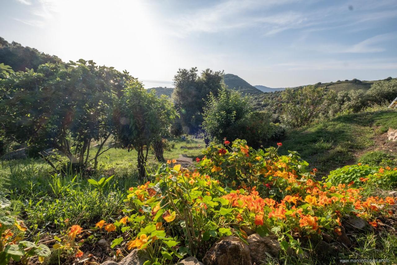 Les Terrasses De Scaglioli Villa Villanova Dış mekan fotoğraf