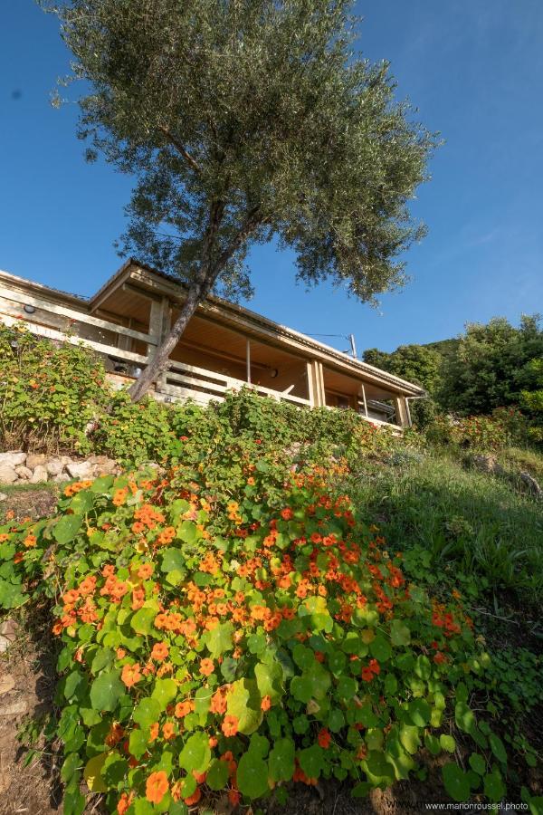 Les Terrasses De Scaglioli Villa Villanova Dış mekan fotoğraf