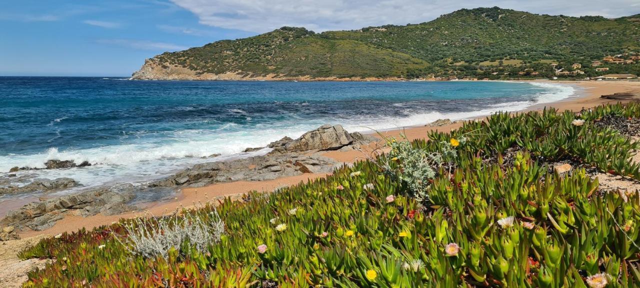 Les Terrasses De Scaglioli Villa Villanova Dış mekan fotoğraf