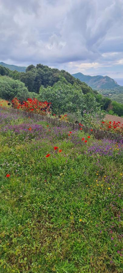 Les Terrasses De Scaglioli Villa Villanova Dış mekan fotoğraf